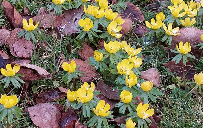 Foto: Jette Altschwager