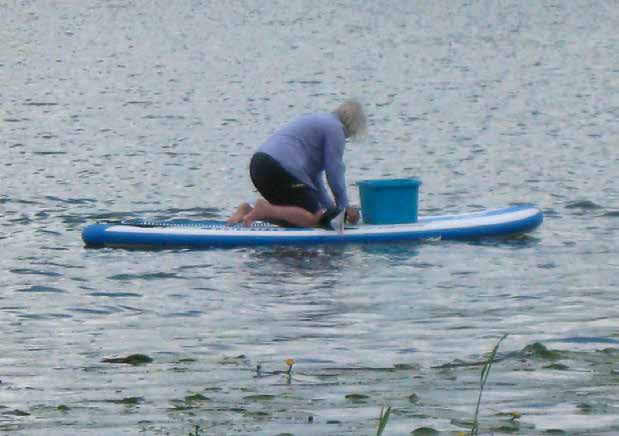 Foto: Annette Funfsinn