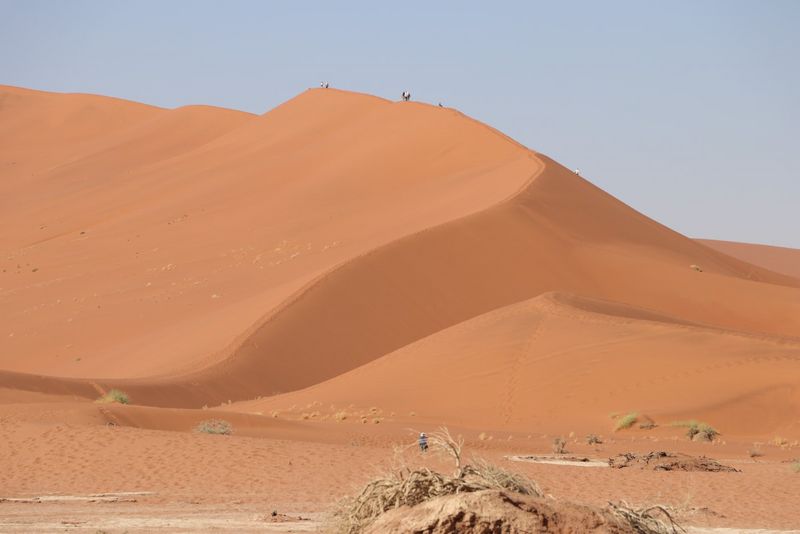 Sanddünen in der Namibwüste