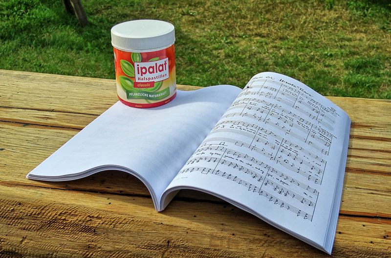 Wir hatten Dr. Pfleger, den Hersteller von Ipalat, um finanzielle Unterstützung gebeten. Immerhin gehört Ipalat zur Standardausrüstung eines jeden Chores. Als Antwort kam eine Apothekenpackung: 3 x 400 Pastillen. Wir finden das amüsant und erzählen g
