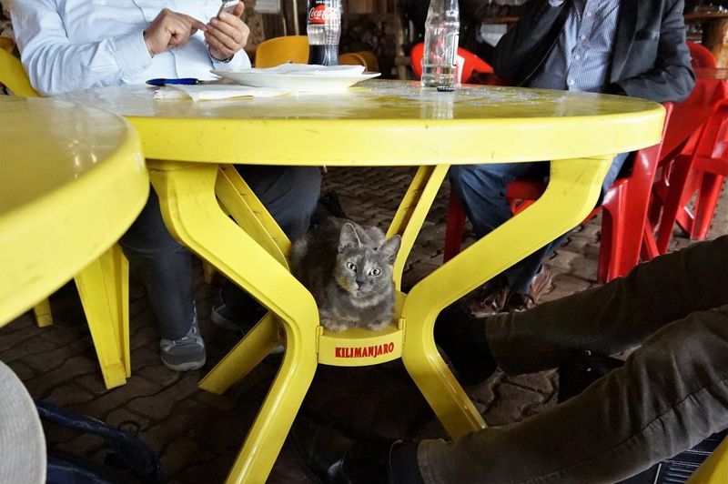 Self Service Reastaurant in Babati