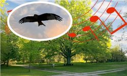 Gemeinsamer musikalischer Gottesdienst an Himmelfahrt mit anschließendem Picknick