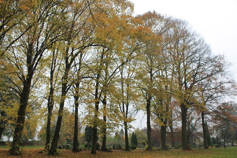 Friedhofsansicht von Westen