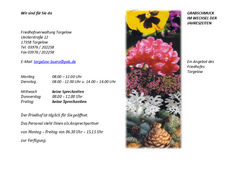 Info`s zur Grabpflege