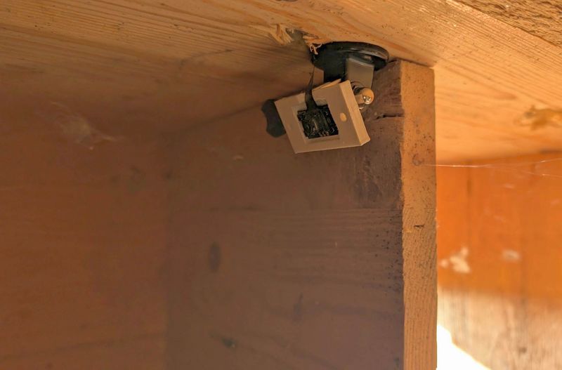 Die Nistkästen im Turm der Hohenselchower Kirche sind mit Internetkameras ausgestattet. Foto: Lars Fischer